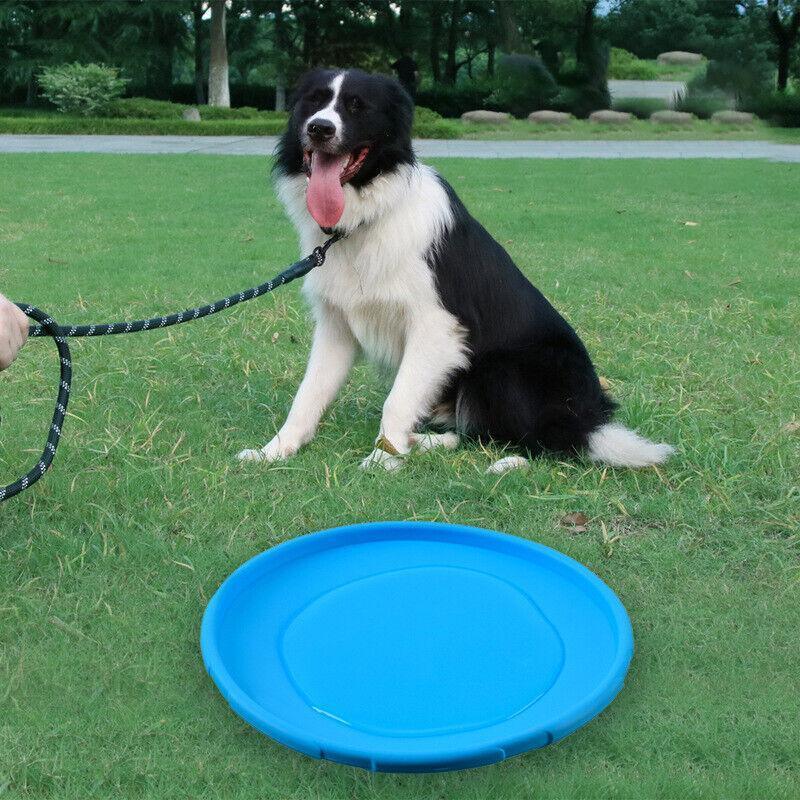Frisbee Toy for Dogs Outdoor Fetch Training Soft Rubber Pet Flying Disc 18cm - Red 4