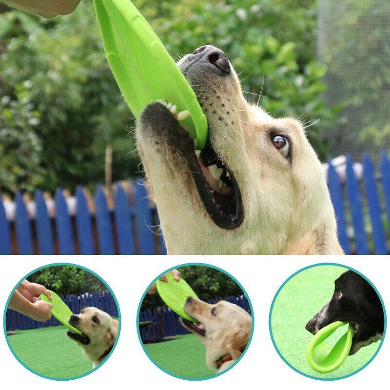 Frisbee Toy for Dogs Outdoor Fetch Training Soft Rubber Pet Flying Disc 18cm - Red 5