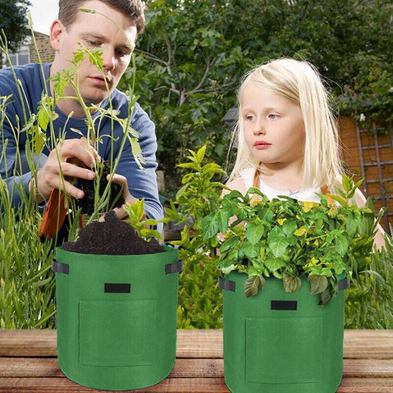 10 Gallon Potato Grow Planter Container Bag Pouch Root Plant Growing Pot Side Window - Green 3
