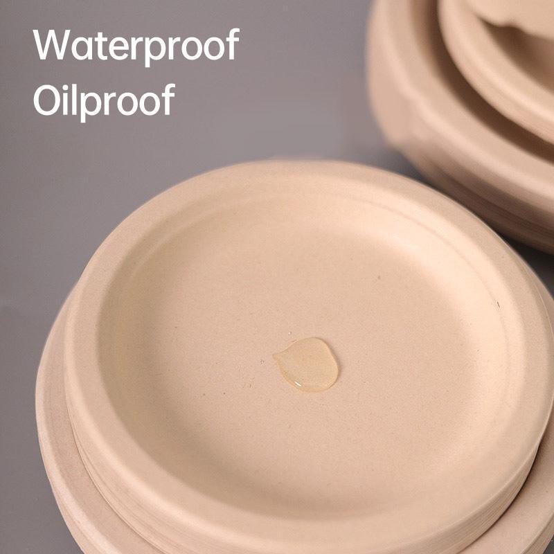 100x Biodegradable Sugarcane Paper Trays - Eco-Friendly & Durable for  Food - 7inches-100pcs 5