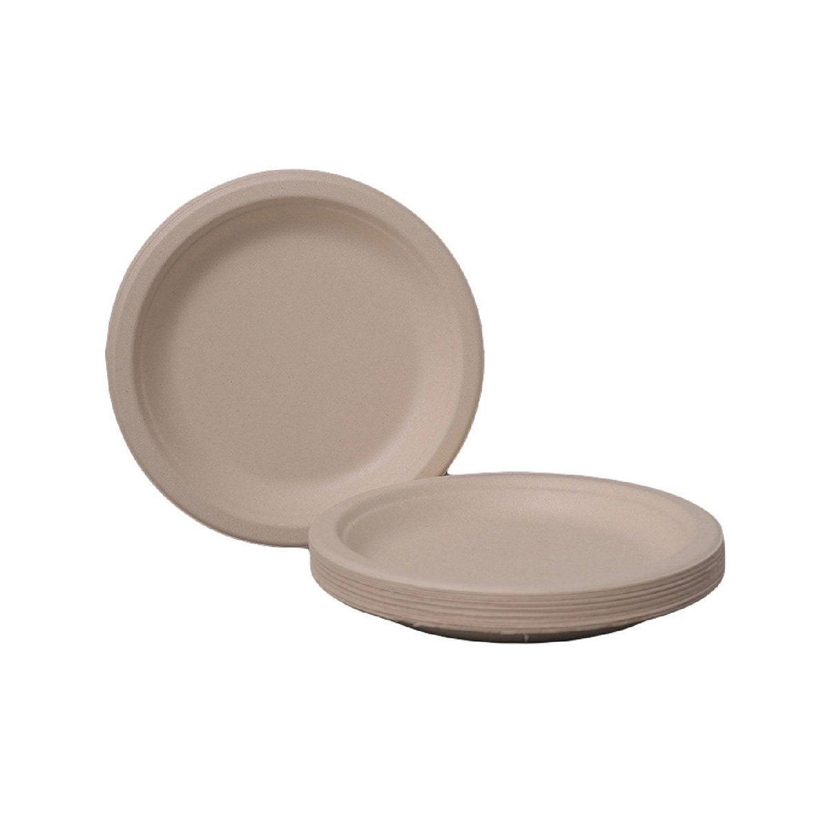 100x Biodegradable Sugarcane Paper Trays - Eco-Friendly & Durable for  Food - 9inches-100pcs 6