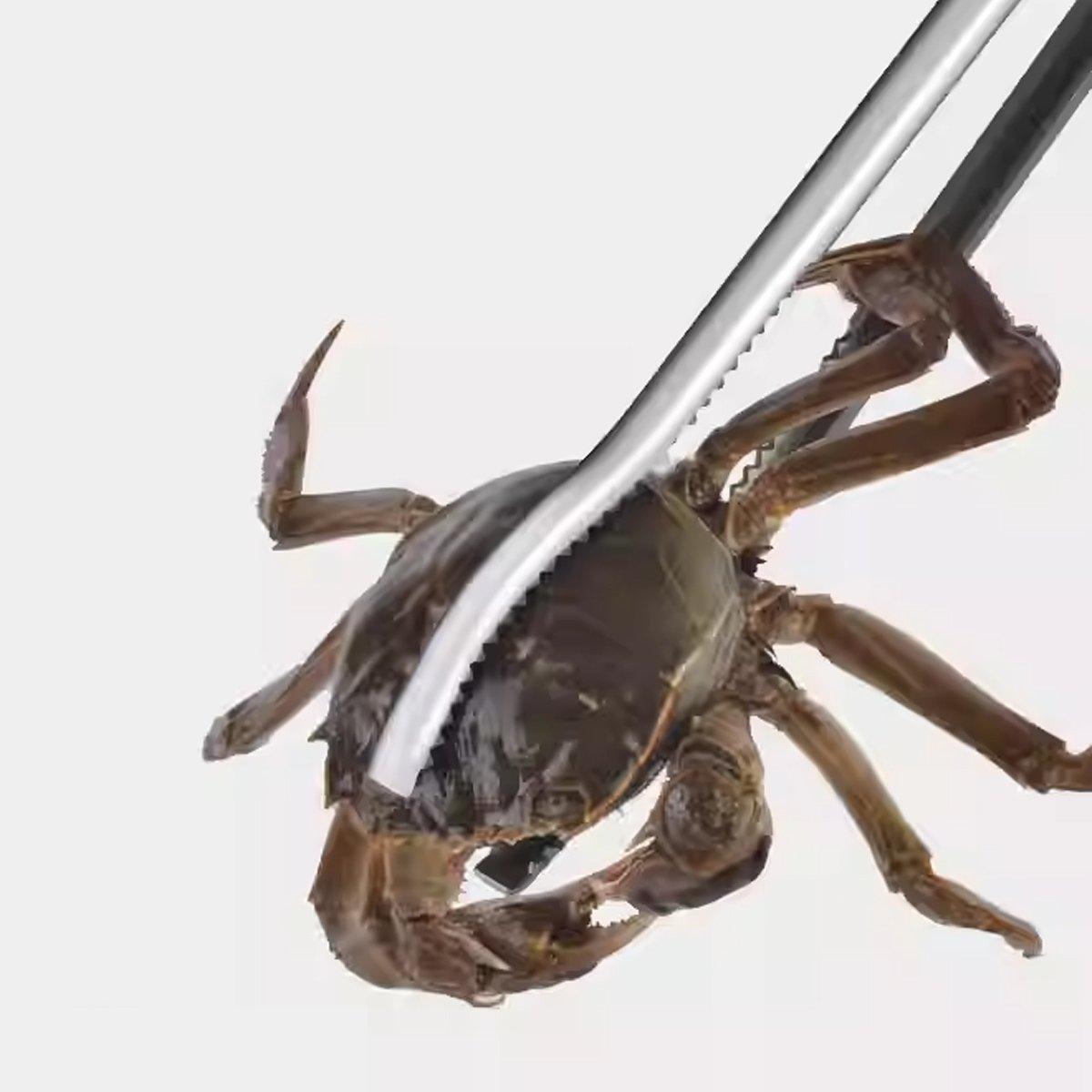 2pcs Heavy Duty Stainless Steel Fishing Clamps Trash Catching Marine Tools 5