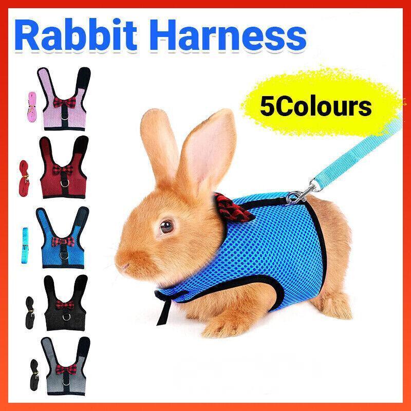 Rabbit Vest Harness Leash Lead Small Animal Pet Mesh Hamster Bunny Traction Rope L - Black