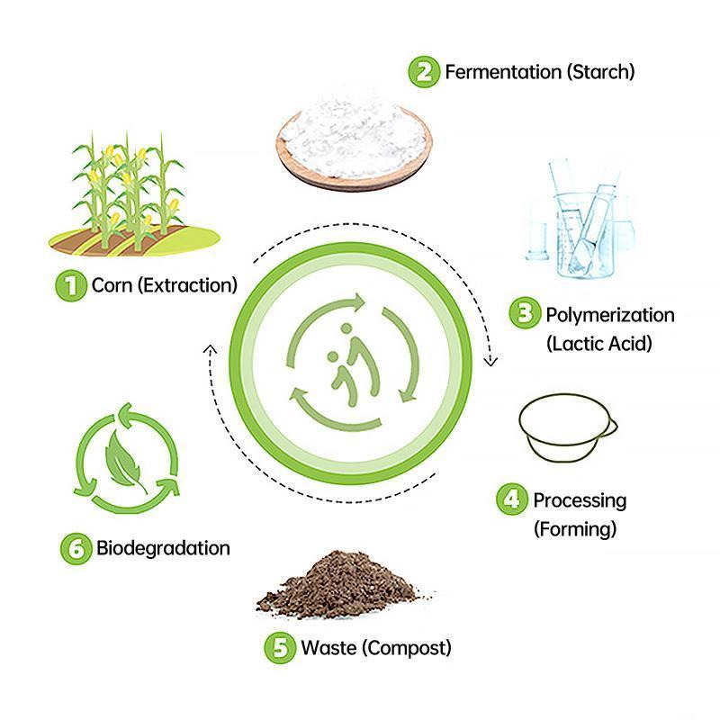 50PCS Biodegradable Corn Starch Lunch Box Round Takeout Containers Eco Friendly - 750ml 5