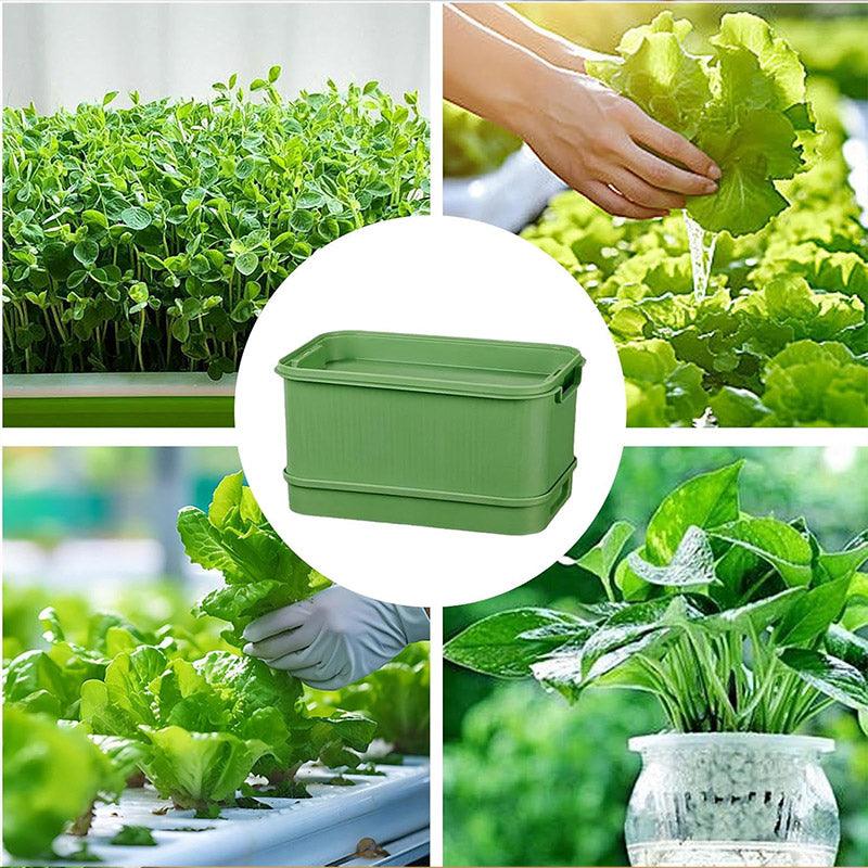 Seedling Tray Sprout Tray Soilless Hydroponic Planting Pot for Indoor Gardening - Green 4