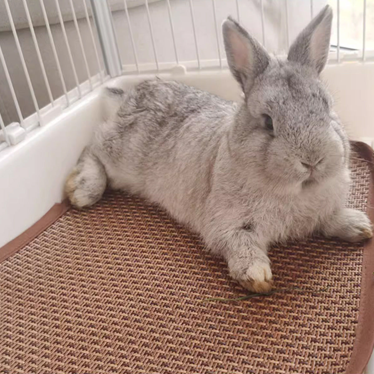 Pet Mat Kennel Cushion Dog Cat Bed Sleeping Pad Soft Washable for Crate Floor - 30x45cm 5