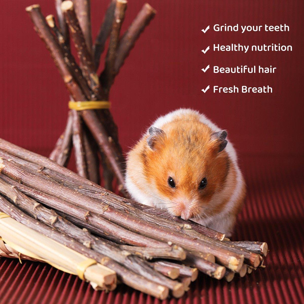 Natural Rabbit Molar Snacks Hamster Branches Sweet Bamboo Grinding Teeth Wood - White 5
