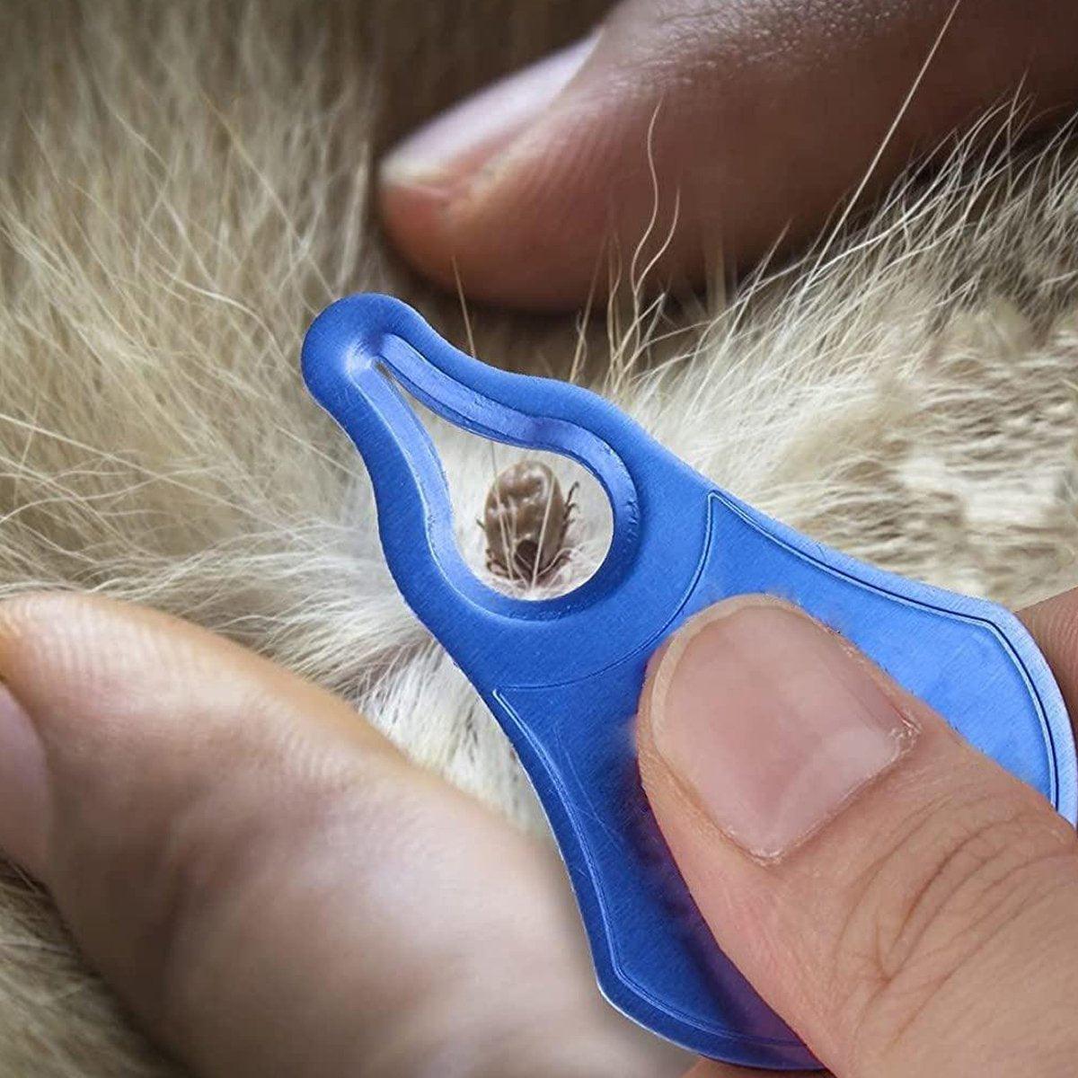1PC Tick Removal Tool Pet Dog Lice Clip Cat Flea Removal Tool Tick Remover Tool - Blue 5