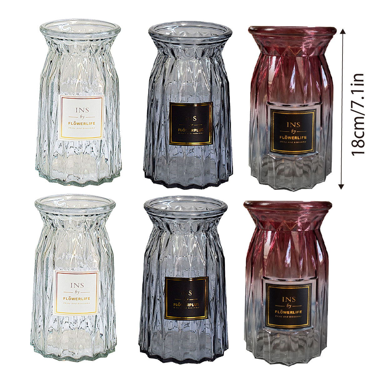 2 Pcs Glass Vase Hydroponic Flower Arrangement Vase for Living Room Decoration - Transparent 3