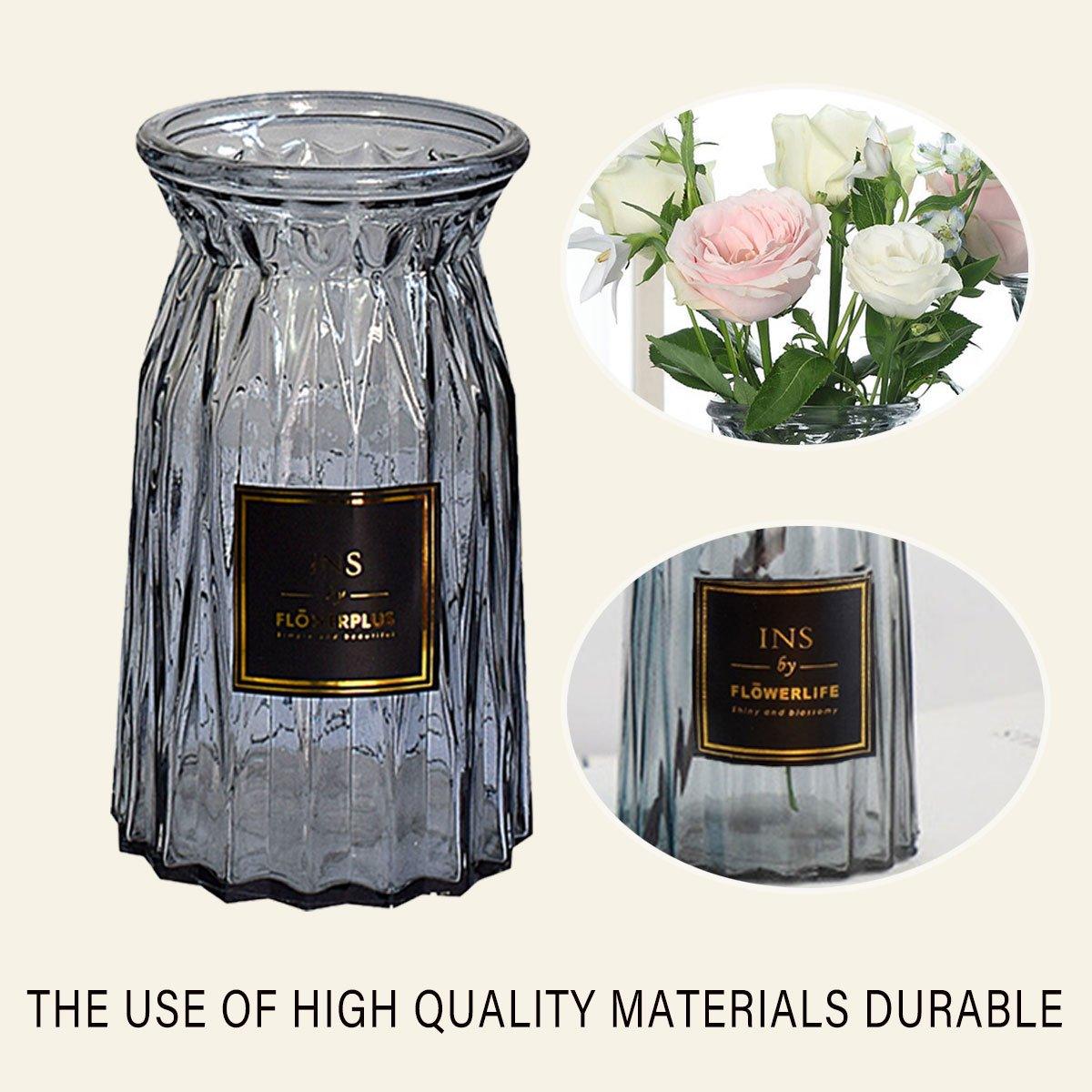 2 Pcs Glass Vase Hydroponic Flower Arrangement Vase for Living Room Decoration - Transparent 4