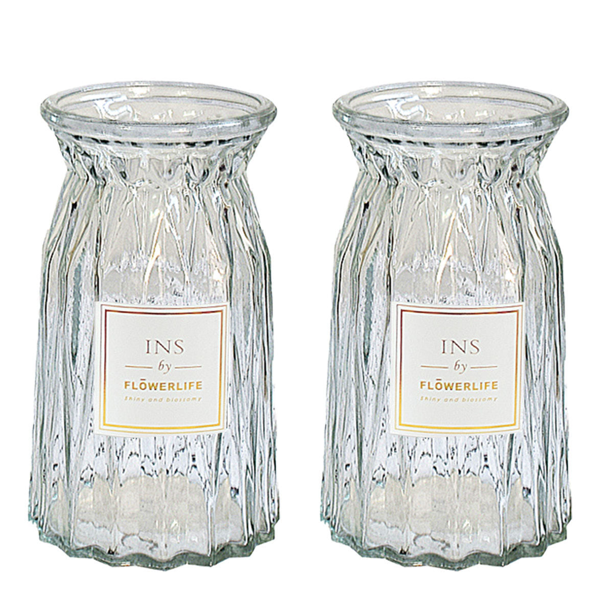 2 Pcs Glass Vase Hydroponic Flower Arrangement Vase for Living Room Decoration - Transparent 6