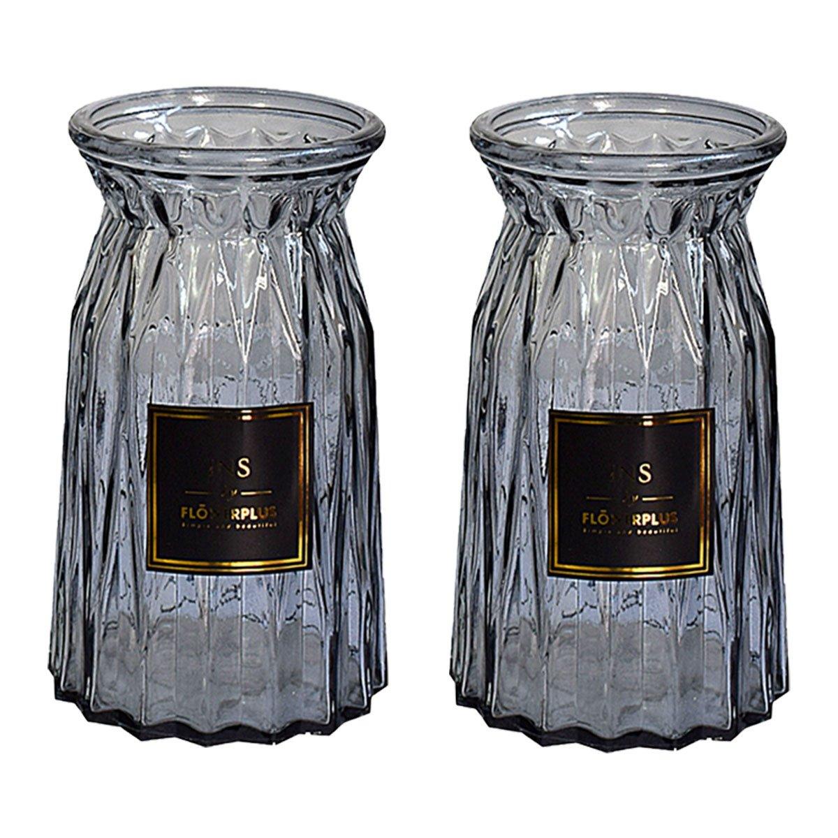 2 Pcs Glass Vase Hydroponic Flower Arrangement Vase for Living Room Decoration - Transparent 7