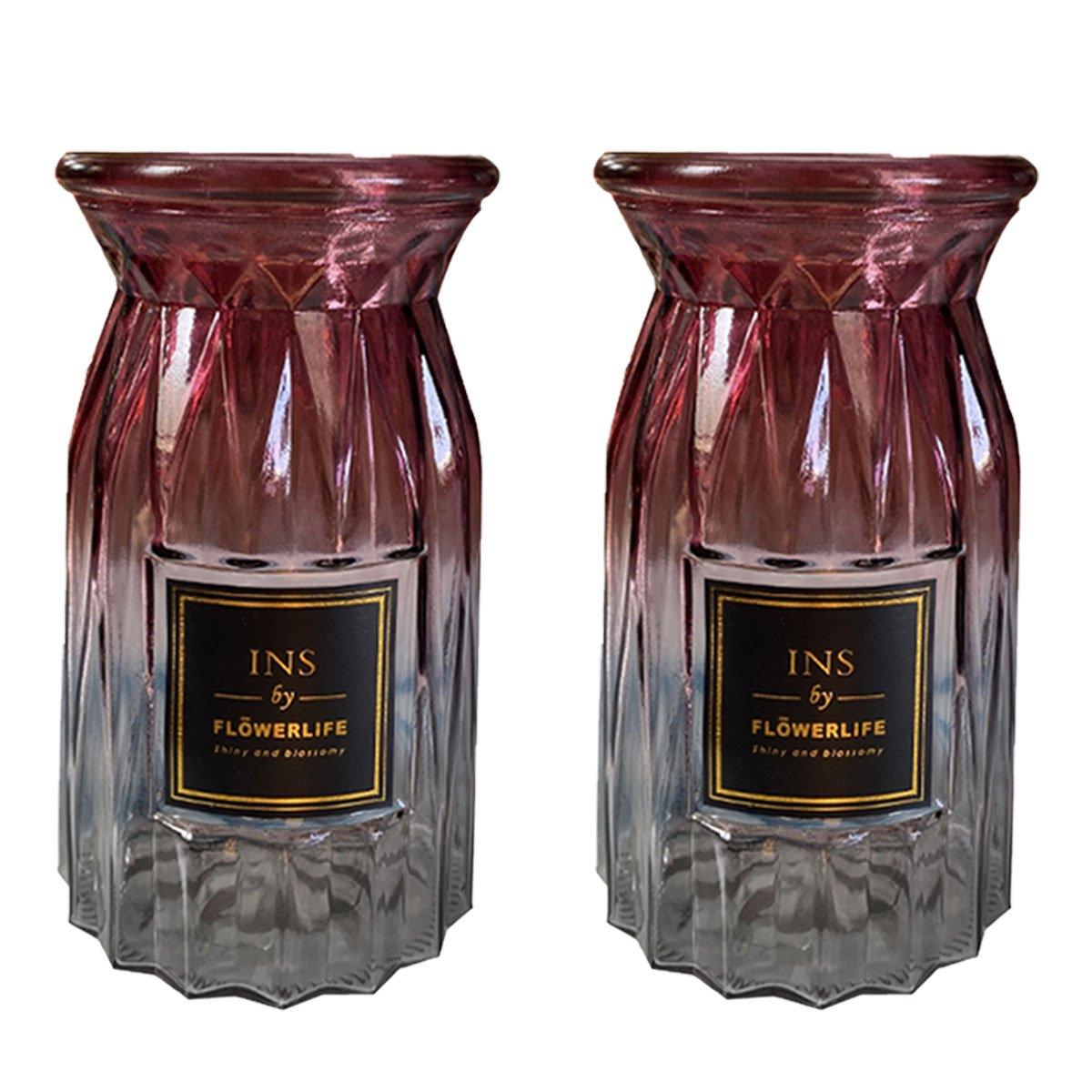 2 Pcs Glass Vase Hydroponic Flower Arrangement Vase for Living Room Decoration - Transparent 8