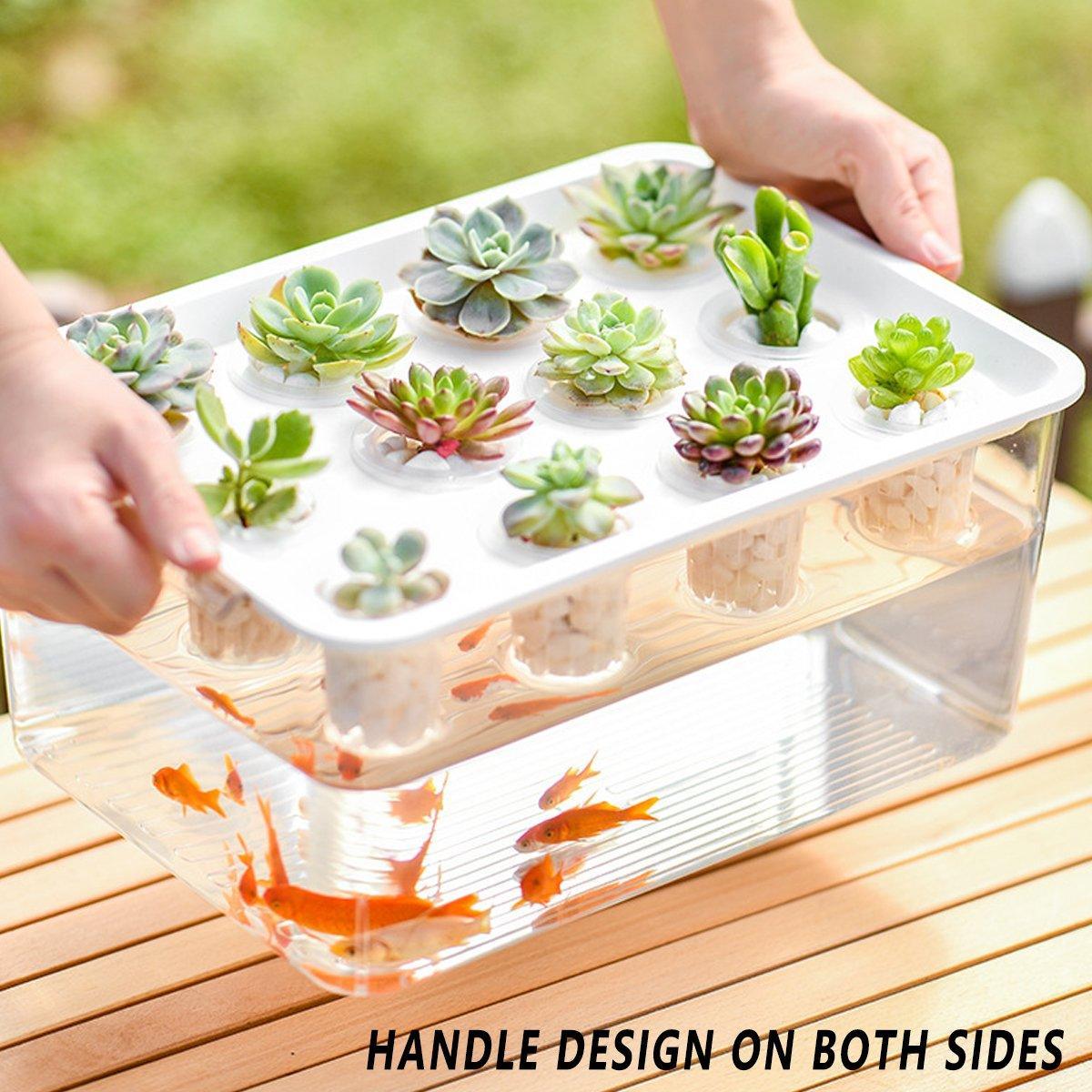 Transparent Rectangular Aquarium 12Hole Lid Portable Hydroponic Plant Fish Tank - Green 5