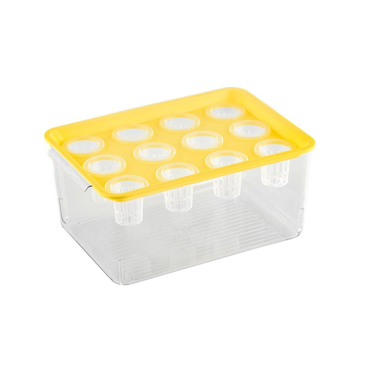 Transparent Rectangular Aquarium 12Hole Lid Portable Hydroponic Plant Fish Tank - Green 8