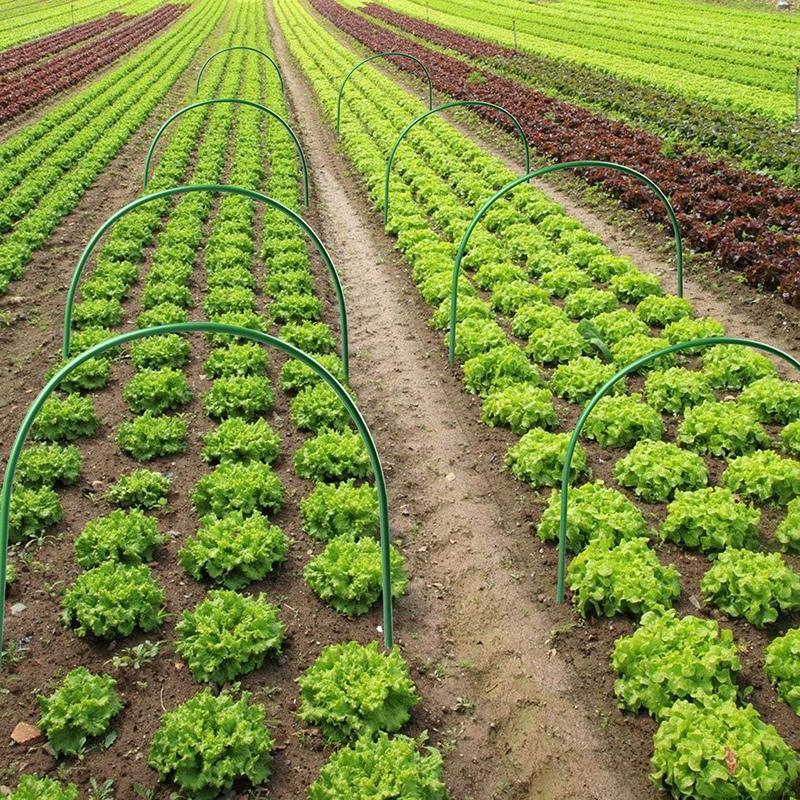 6PCS Greenhouse Plant Hoops Garden Tunnel Support for Row Covers and Netting 5