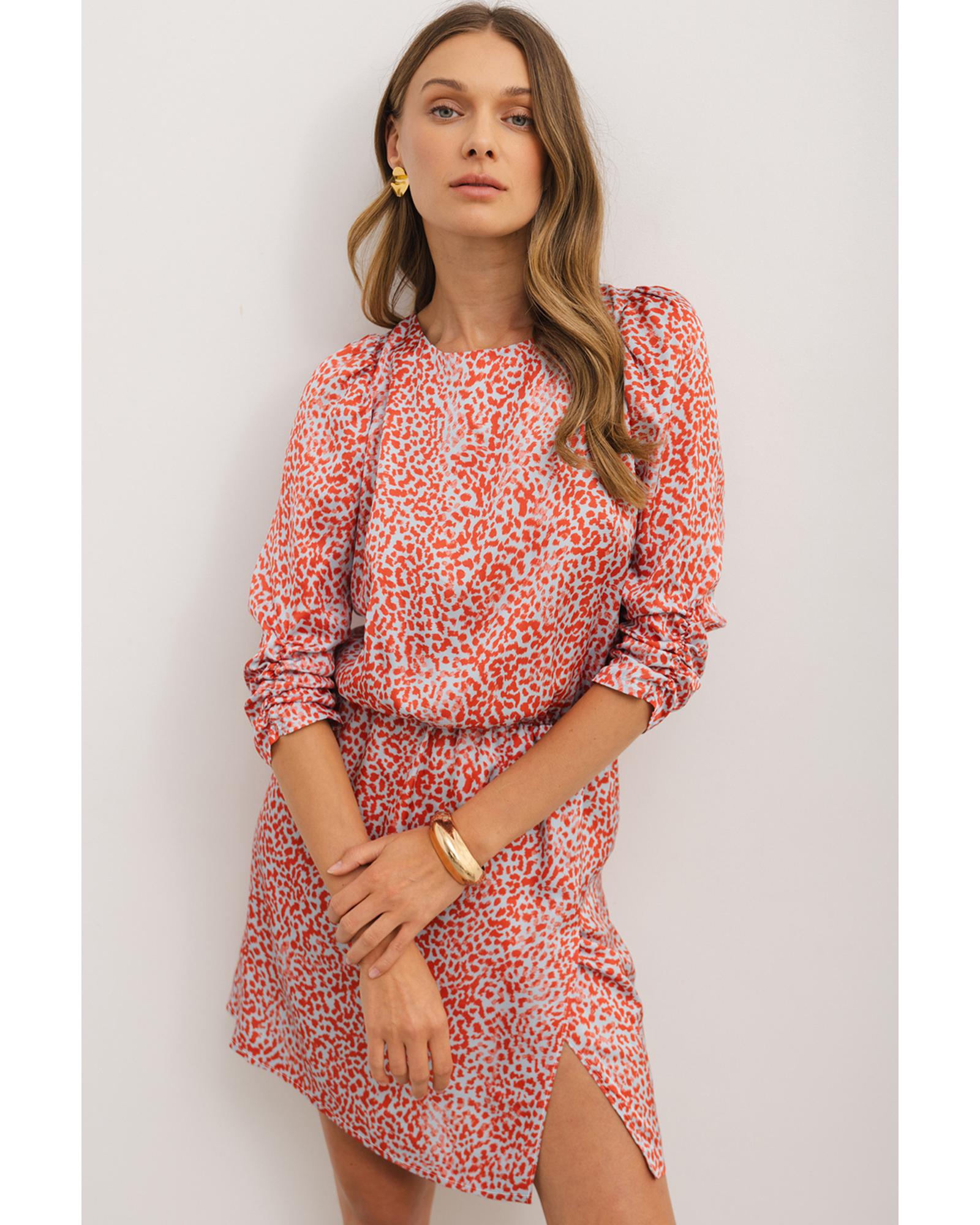 Tomato Red Leopard Print Long Sleeve Hollowed Back Split Mini Dress - M