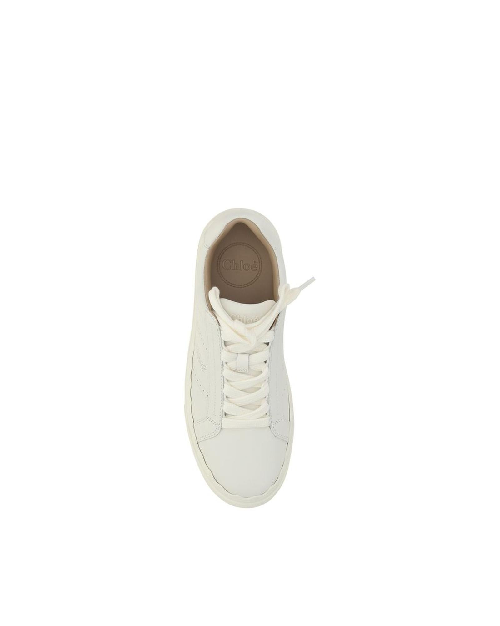 Chloe Women's Lauren Sneakers - 36 EU 4