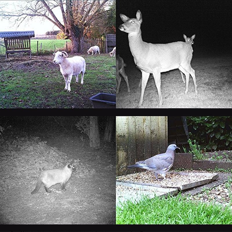 8Mp Waterproof Trail Camera With Night Vision And Wide Angle Lcd 9