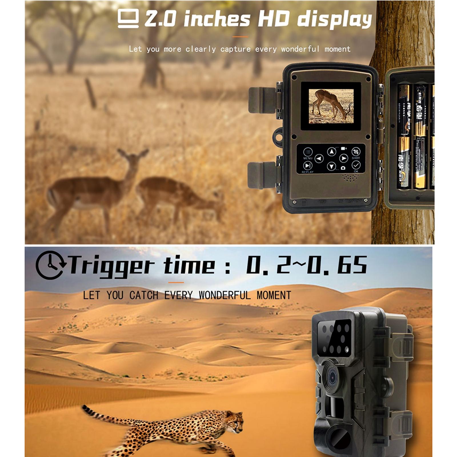 1080p Wildlife Hunting Camera with Night Vision for Outdoor Tracking 6