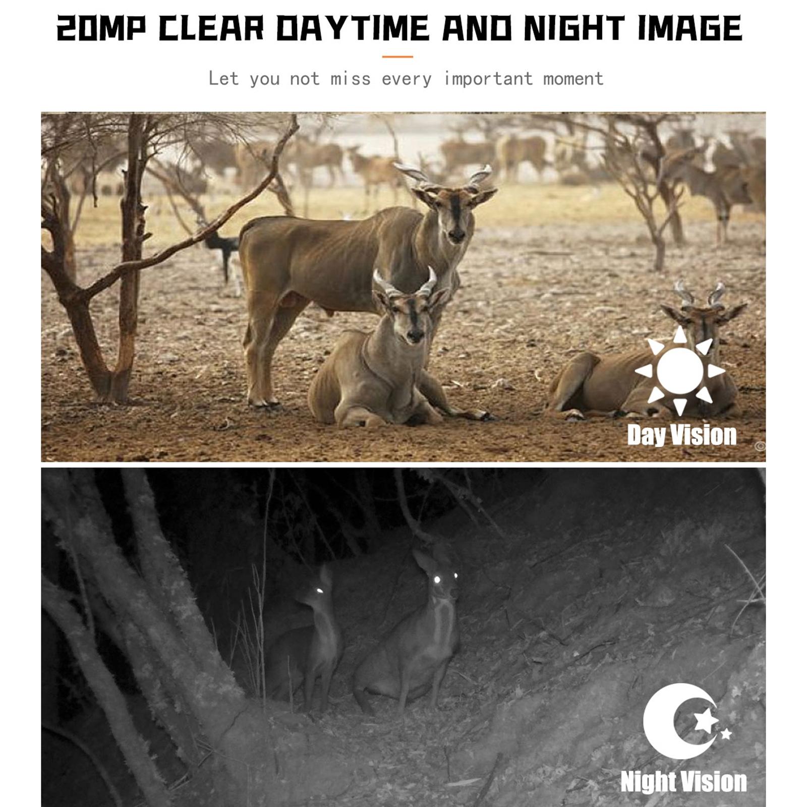 1080p Wildlife Hunting Camera with Night Vision for Outdoor Tracking 8
