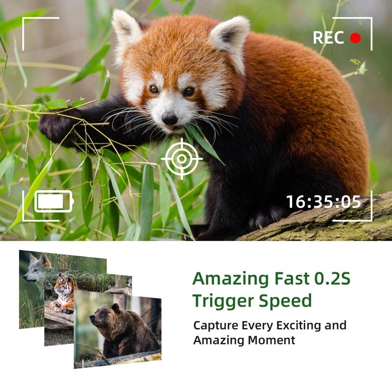 Outdoor Hunting Camera with Wifi & Remote Control - View Photos / Video Anytime 5