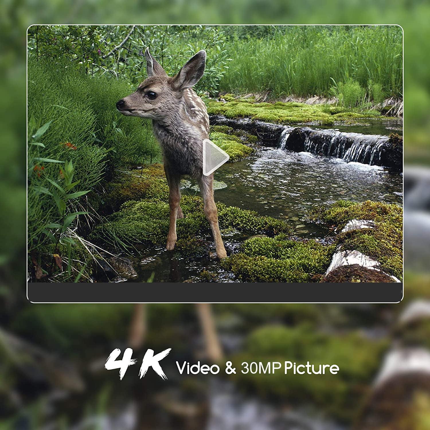Outdoor Hunting Camera with Wifi & Remote Control - View Photos / Video Anytime 10