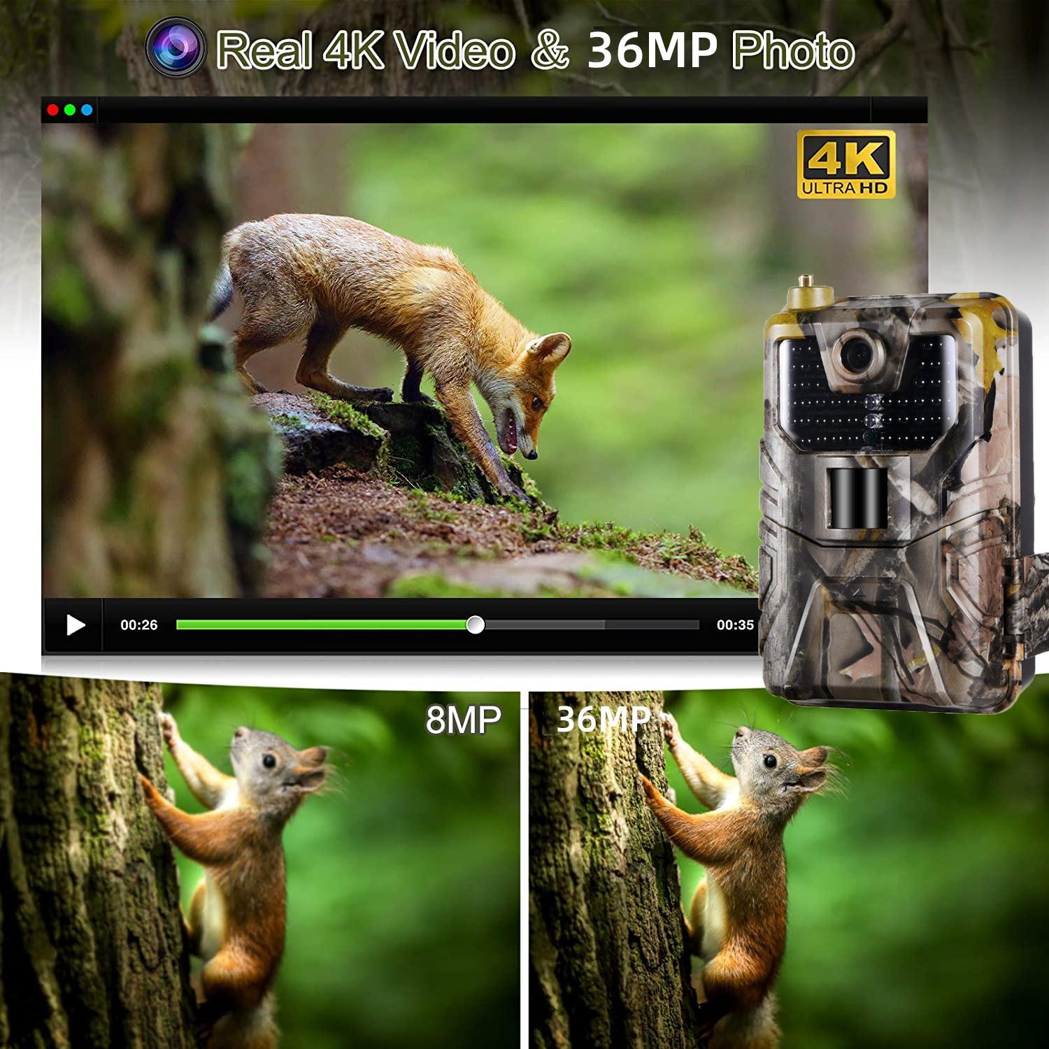 Outdoor Hunting Camera with Wifi900pro for Remote Viewing of Photos / Videos 5