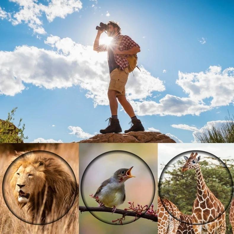 High Definition Monocular Telescope For Outdoor Bird Viewing - 16X52 Green Film - 16X52 Prism 9