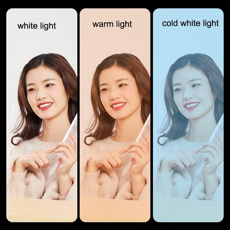 Portable Beauty Live Fill Light for Mobile Phones - Foldable Charging Model 5