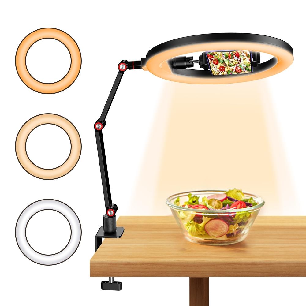 Foldable 10 Led Ring Light with Swing Arm Stand & Phone Holder 7