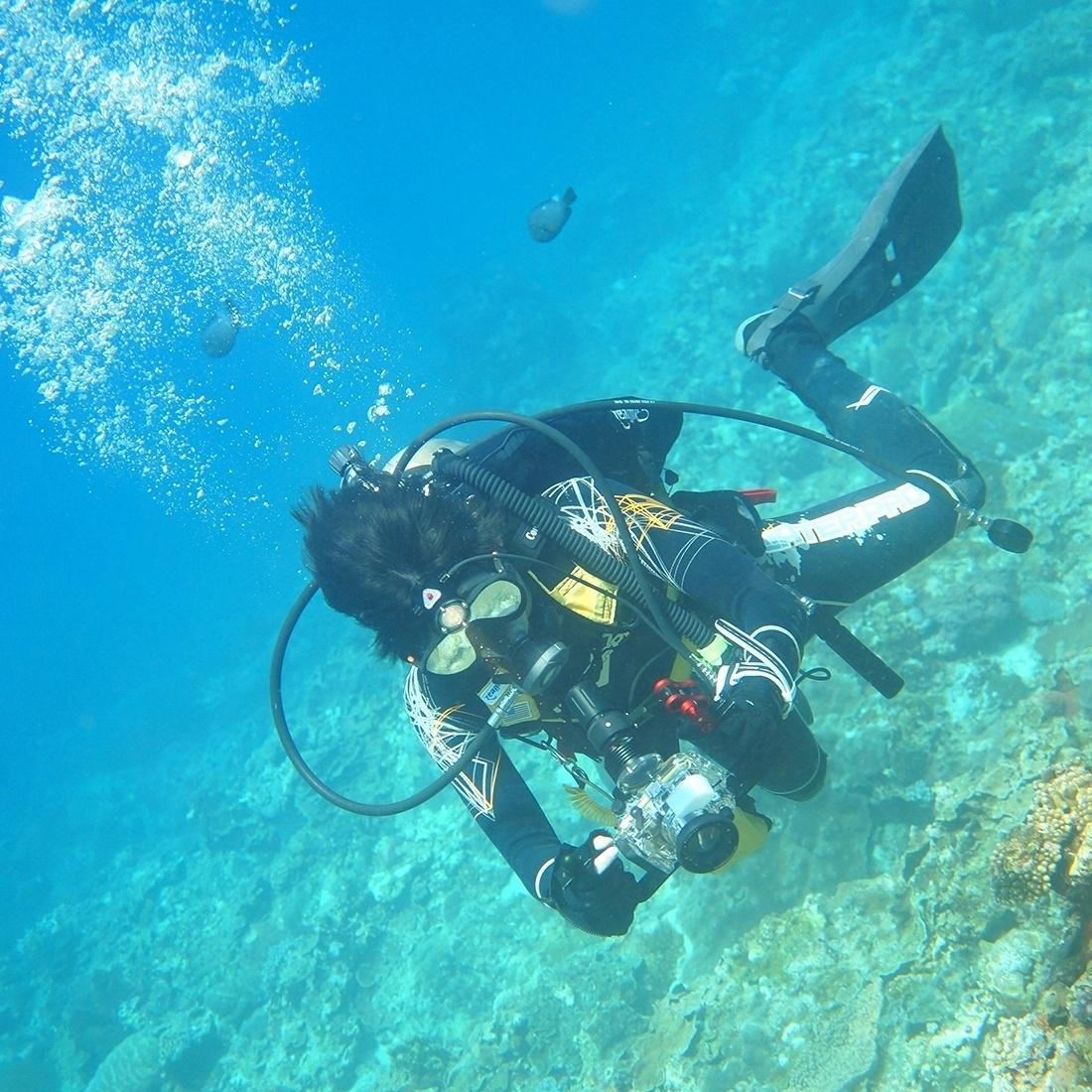 Upgraded Dual Handheld Diving Arm for Underwater Photography 8