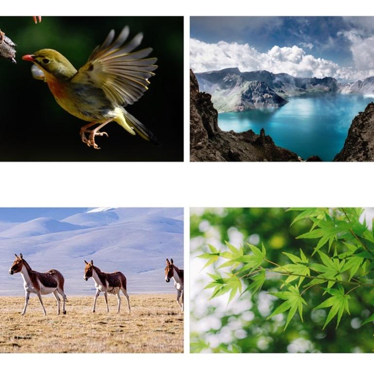 High-power Small Telescope for Kids - Science Education Toy 4