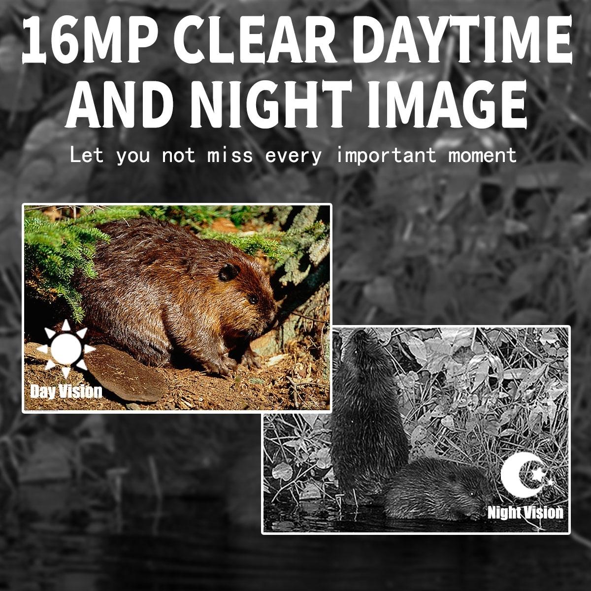 12mp Outdoor Night Vision Hunting Camera with Motion Activation 7