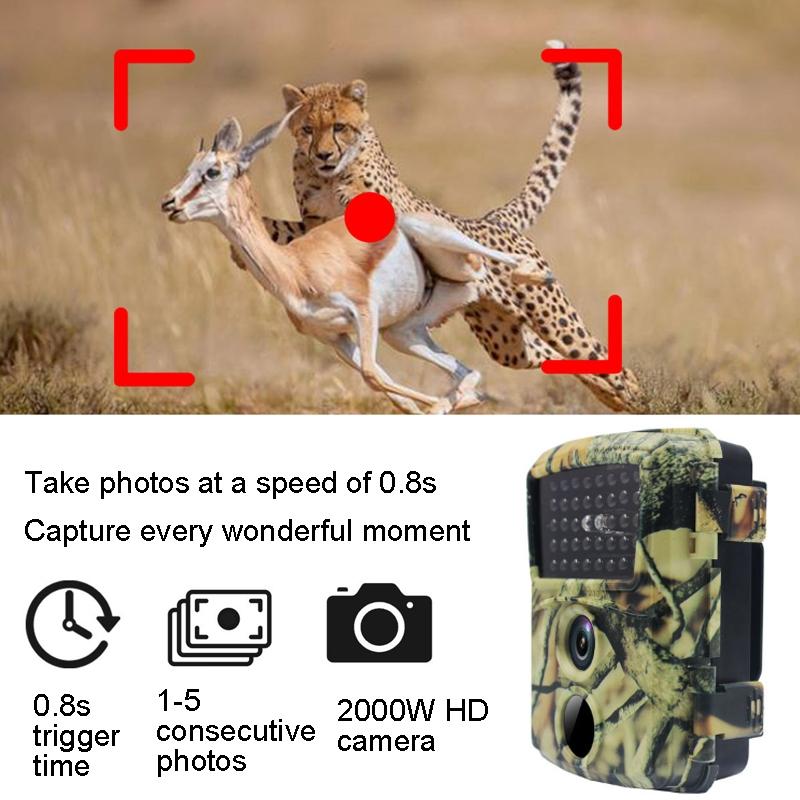20mp Hd Infrared Hunting Camera with 38 Ir Lights 11