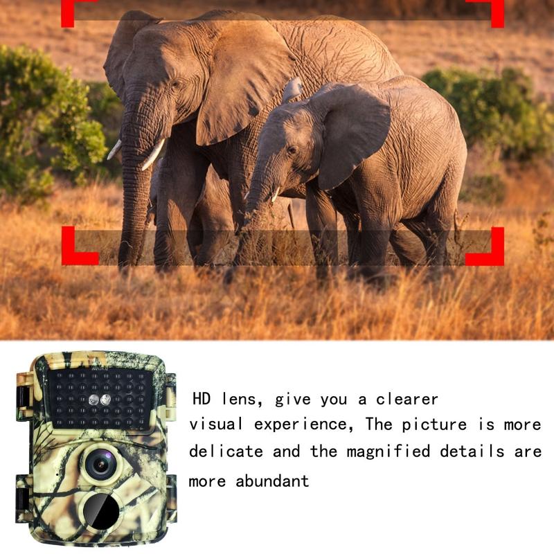 20mp Hd Infrared Hunting Camera with 38 Ir Lights 12