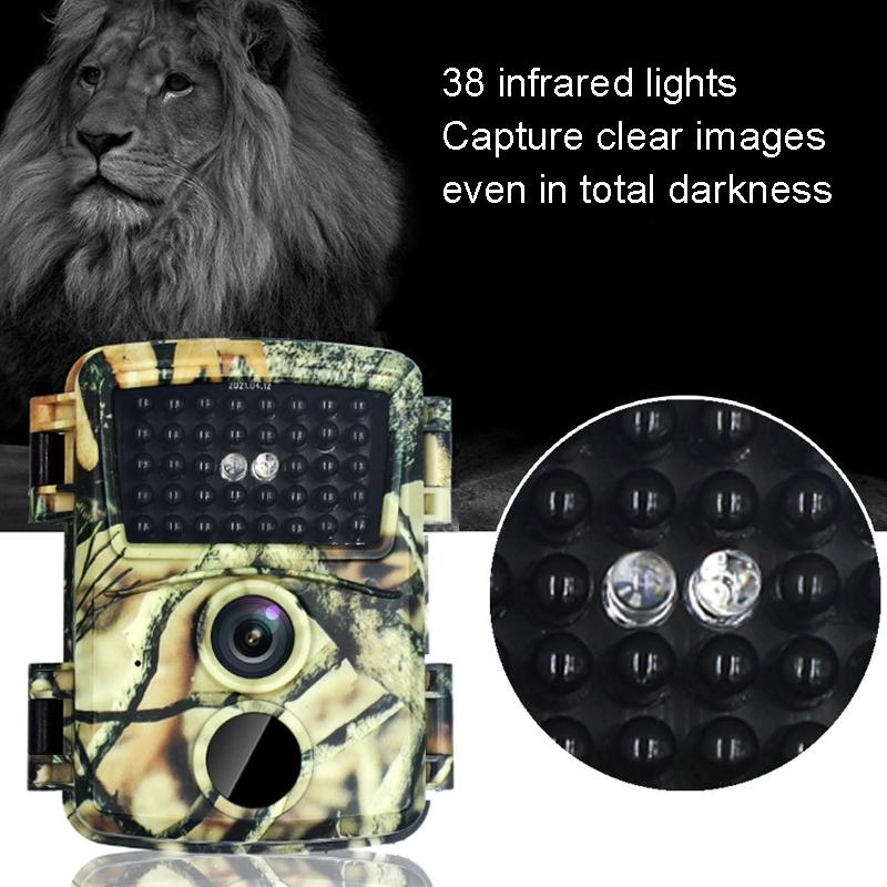 20mp Hd Infrared Hunting Camera with 38 Ir Lights 13