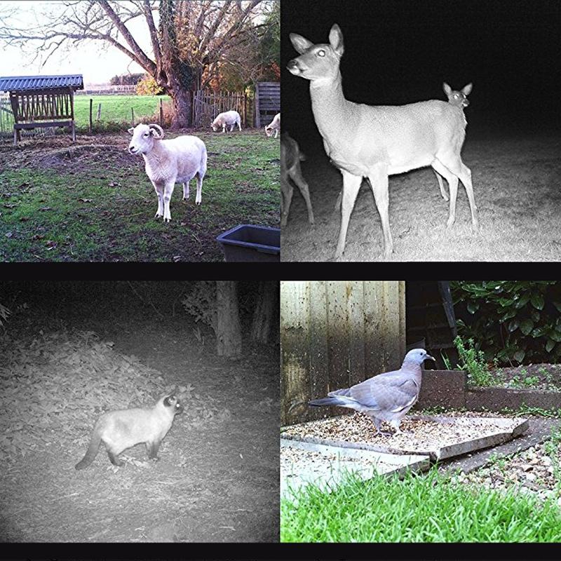 16Mp Waterproof Trail Camera With 3G Mms And Night Vision - 120 Degree Wide Angle 7