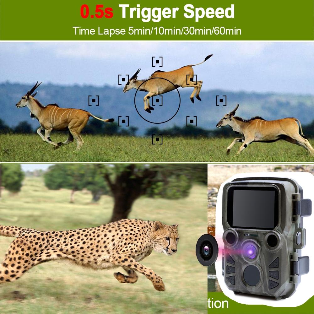12mp Hd 1080p Mini Hunting Camera for Tracking 5