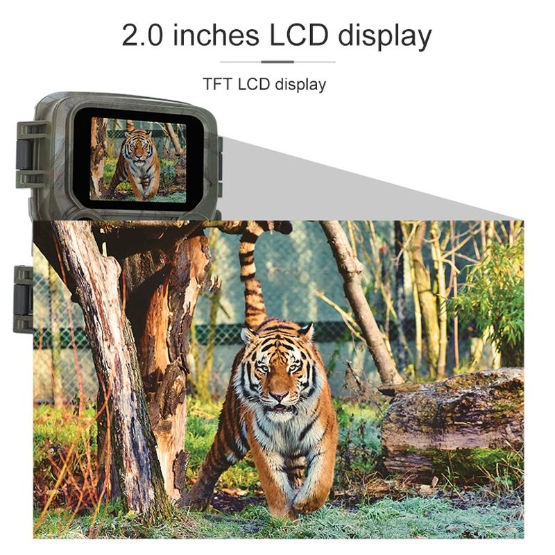 Outdoor Hunting Camera with Night Vision and Infrared Sensing 8