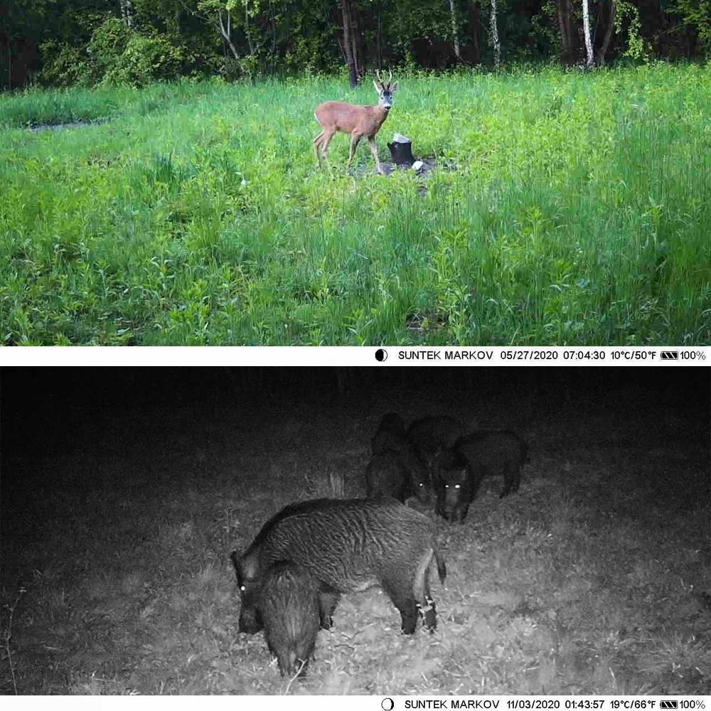 Outdoor Infrared Night Vision Camera with Tracking - 2.7k 9