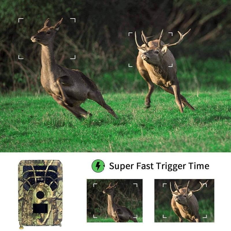 720p Infrared Night Vision Wildlife Camera - 120 Degree Wide Angle 4
