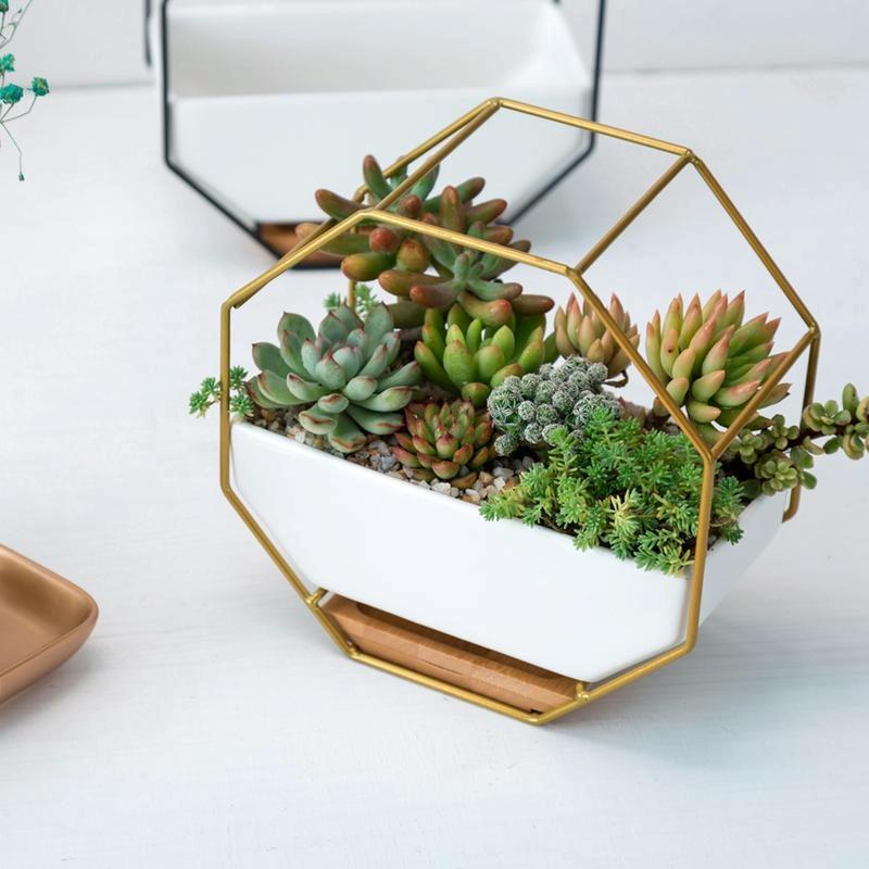 Geometric Wall Hanging Table with Bamboo Support and Iron Frame for Succulents - Gold 7