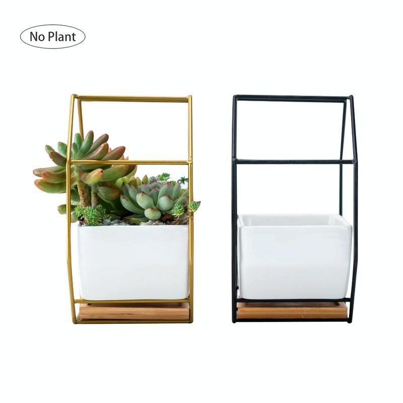 Geometric Wall Hanging Table with Bamboo Support and Iron Frame for Succulents - Gold 14