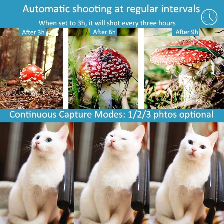Waterproof Infrared Night Vision Camera for Outdoor Monitoring 6