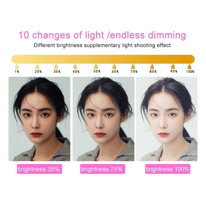 Portable Double Arm Fill Light with Phone Clip - Adjustable Brightness Black 15