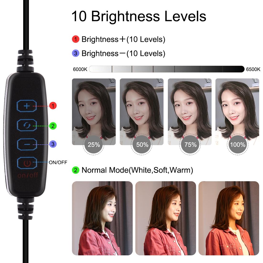 10.2 Dual-colour Led Ring Light with Usb Bluetooth Remote and Phone Holder - Black 10