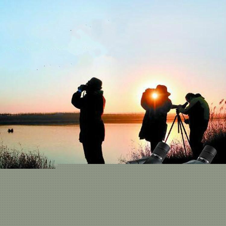 High-Definition Monocular Telescope For Bird Watching And Target Viewing - Black 8