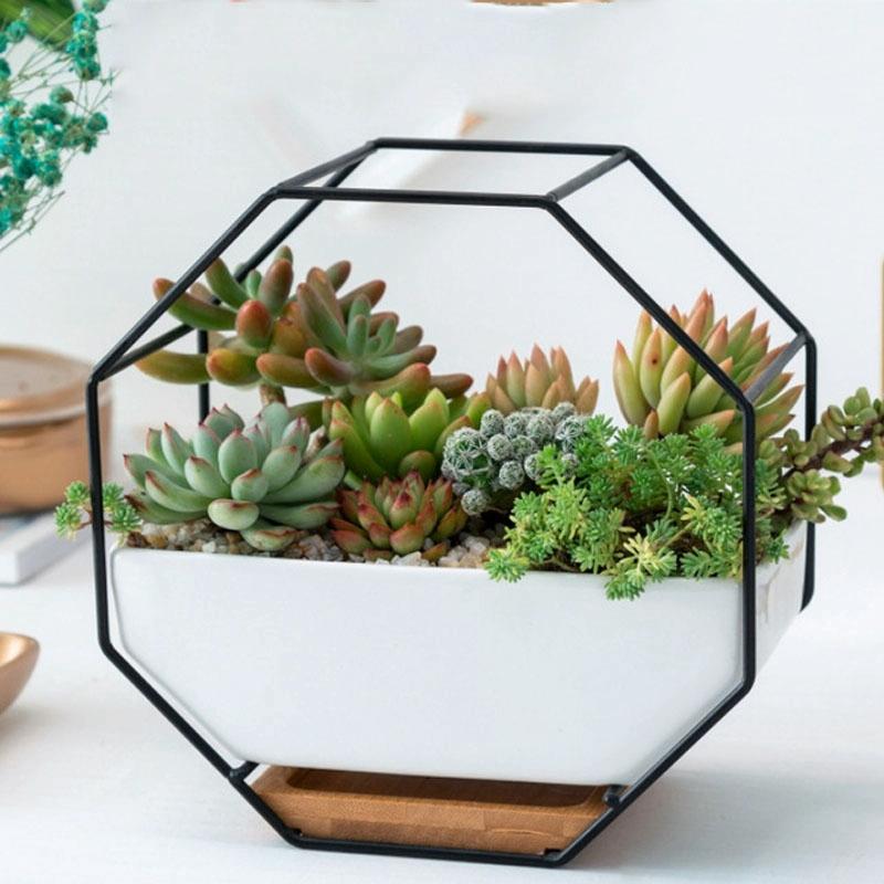 Geometric Wall Hanging Table with Bamboo Support and Iron Frame for Succulents - Black 3