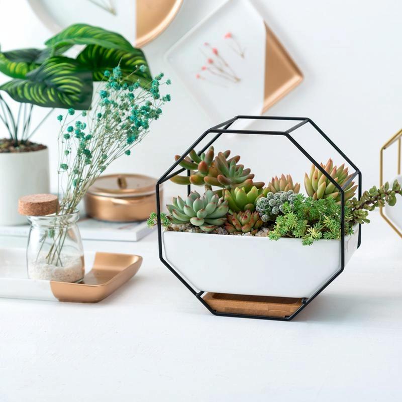 Geometric Wall Hanging Table with Bamboo Support and Iron Frame for Succulents - Black 9